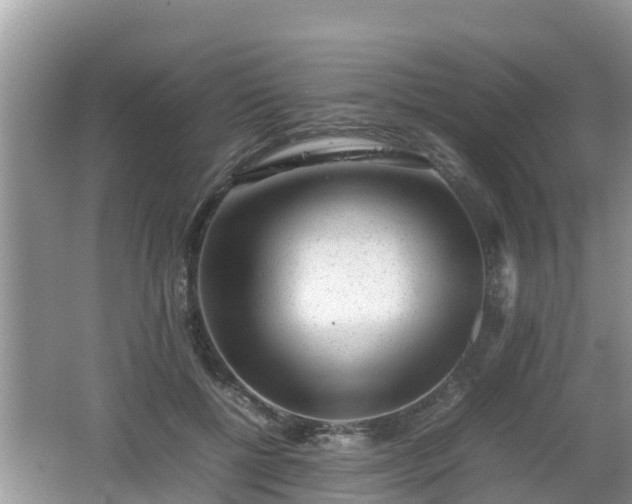 X0000062150552200512161237