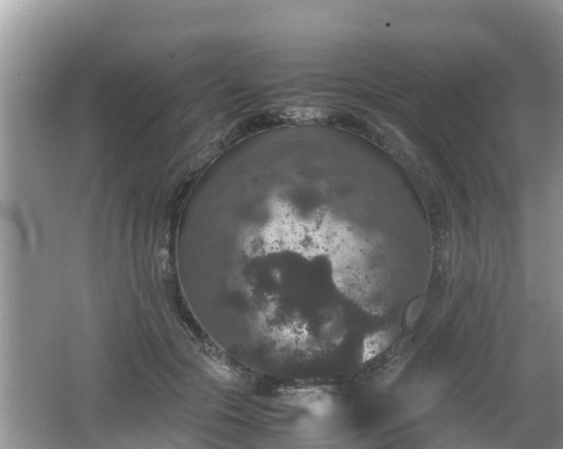 X0000062150553200512161237