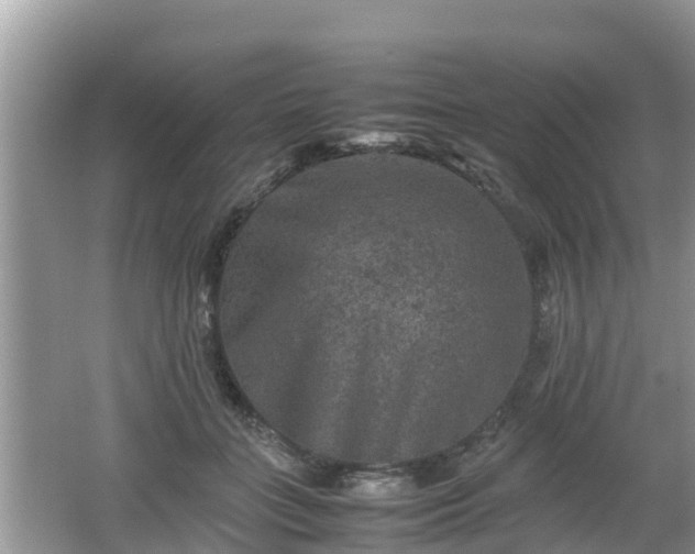 X0000062150555200512161237