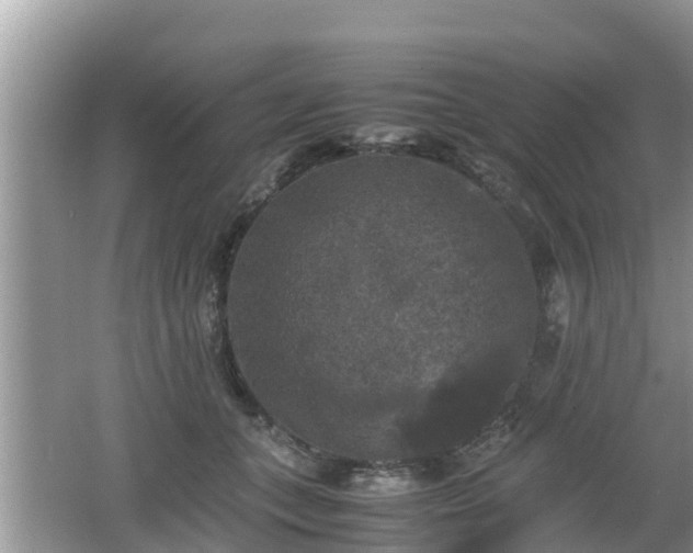 X0000062150559200512161237