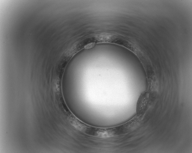 X0000062150561200512161237