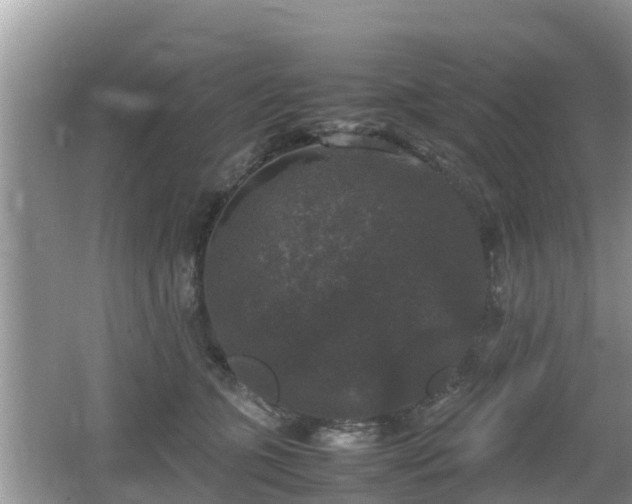 X0000062150563200512161237