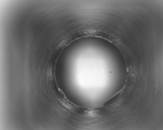 X0000062150564200512161237