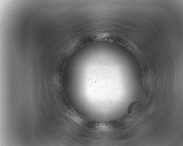 X0000062150565200512161237