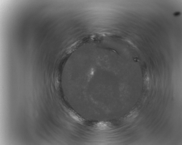 X0000062150566200512161237