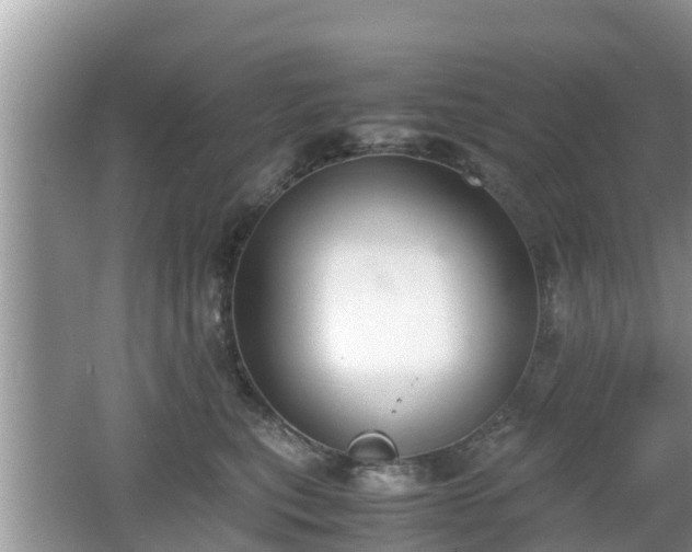 X0000062150567200512161237