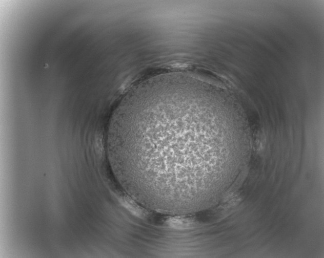 X0000062150568200512161237