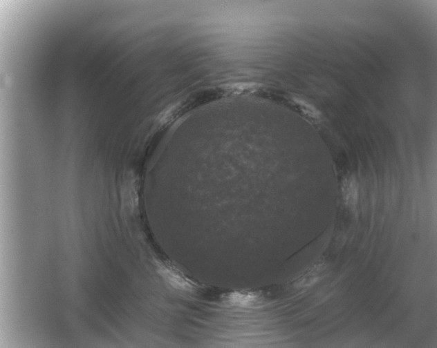 X0000062150570200512161237