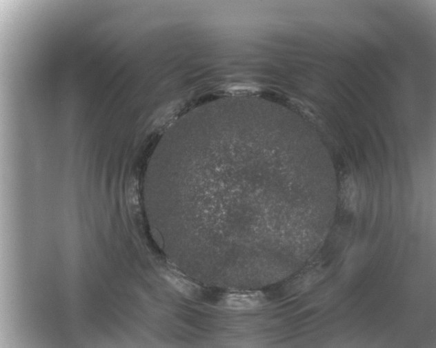 X0000062150571200512161237