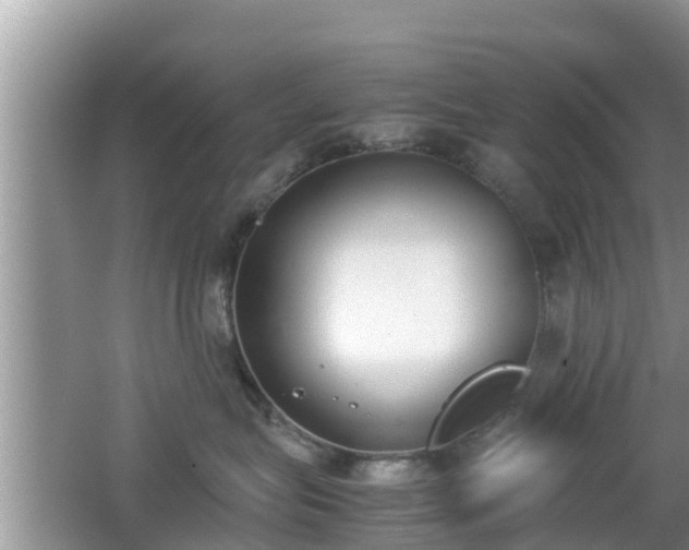 X0000062150575200512161237