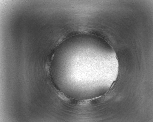 X0000062150576200512161237