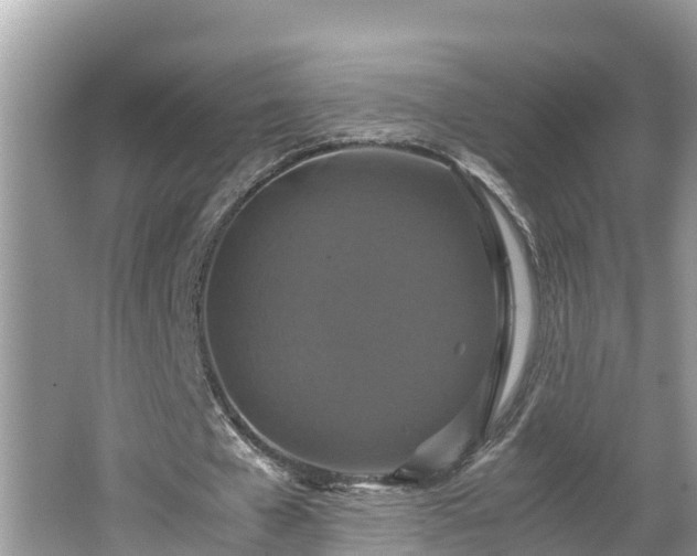 X0000062150577200512161237