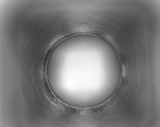 X0000062150579200512161237