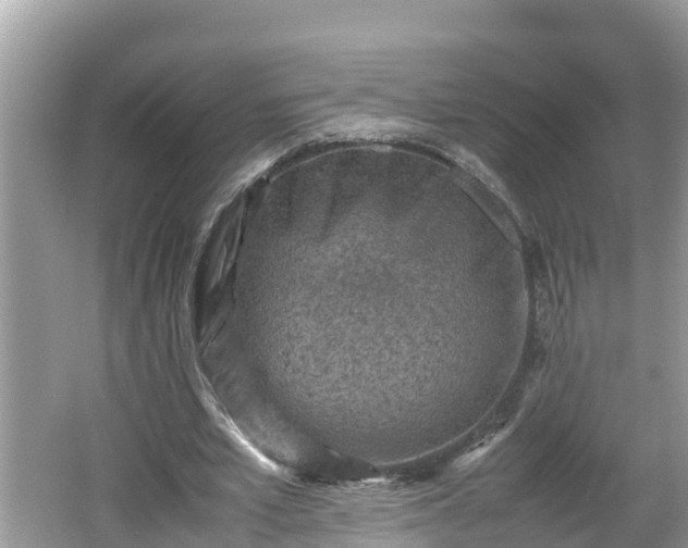 X0000062150581200512161237