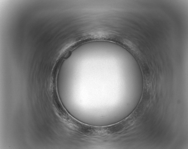 X0000062150583200512161236