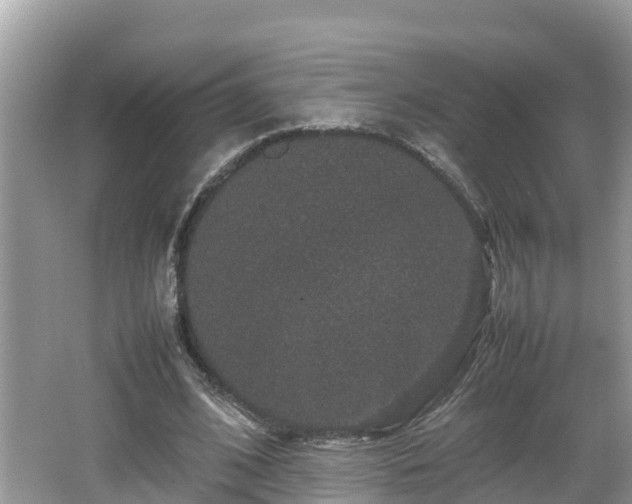 X0000062150584200512161236