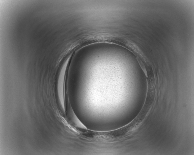 X0000062150585200512161236