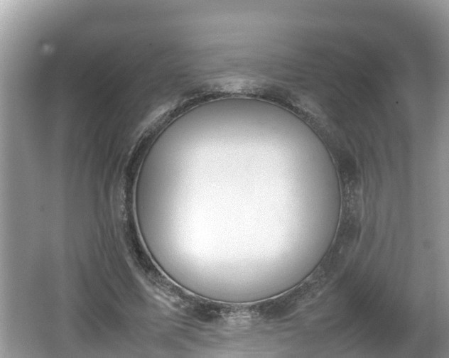 X0000062150587200512161236