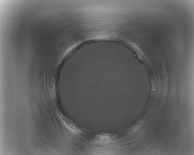 X0000062150588200512161236