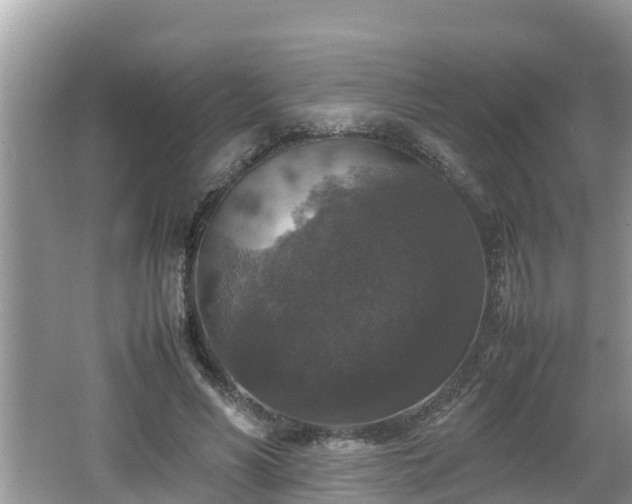 X0000062150590200512161236