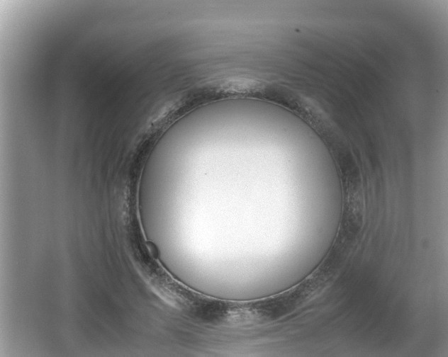 X0000062150591200512161236