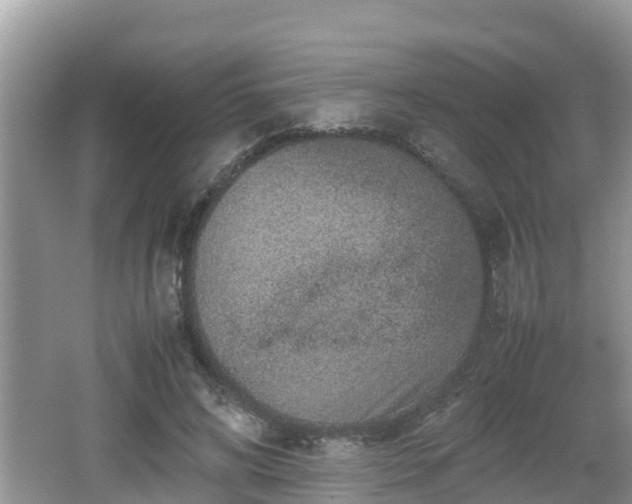 X0000062150592200512161236