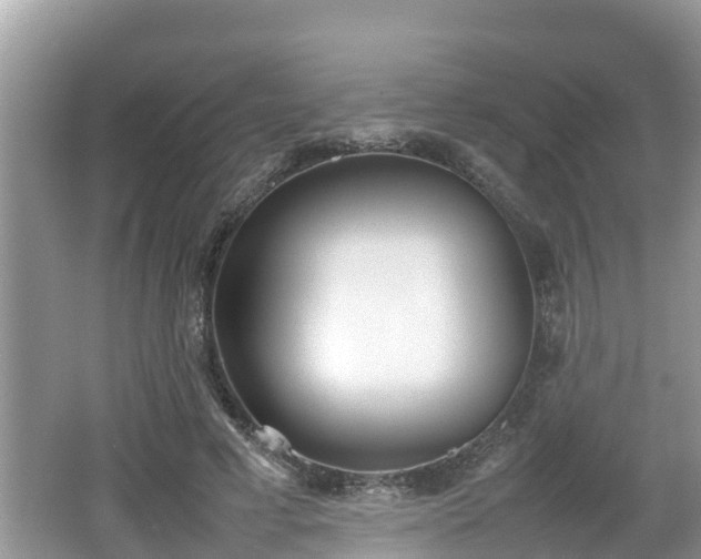 X0000062150593200512161236