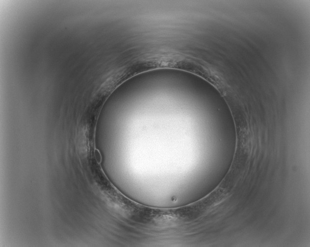 X0000062150594200512161236