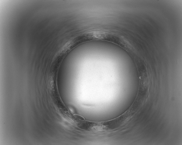 X0000062150595200512161236