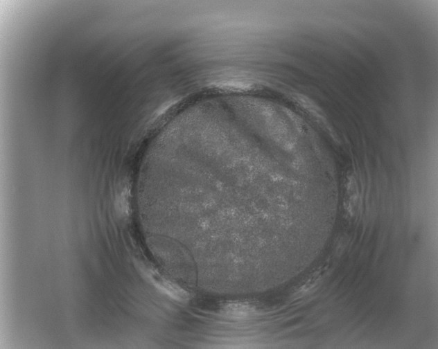 X0000062150596200512161236