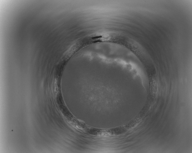 X0000062150598200512161236