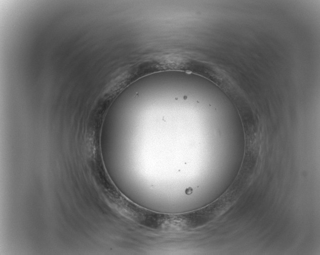 X0000062150599200512161236