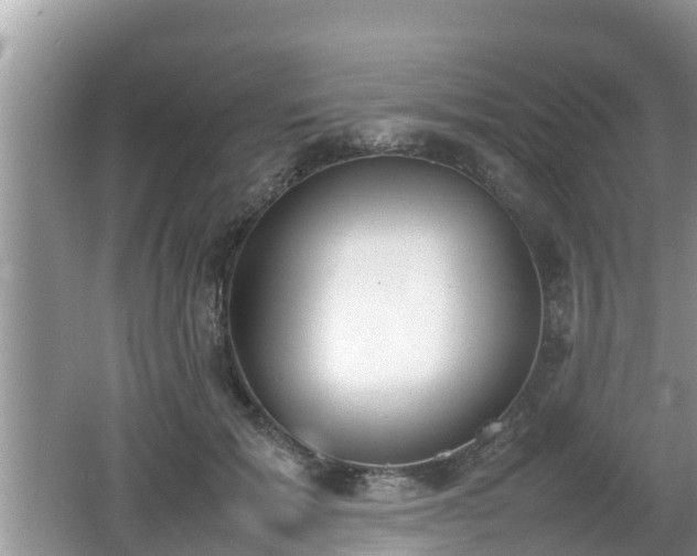 X0000062150605200512161236