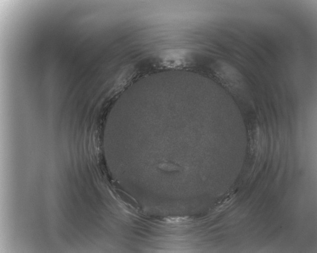 X0000062150606200512161236