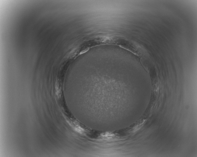 X0000062150607200512161236