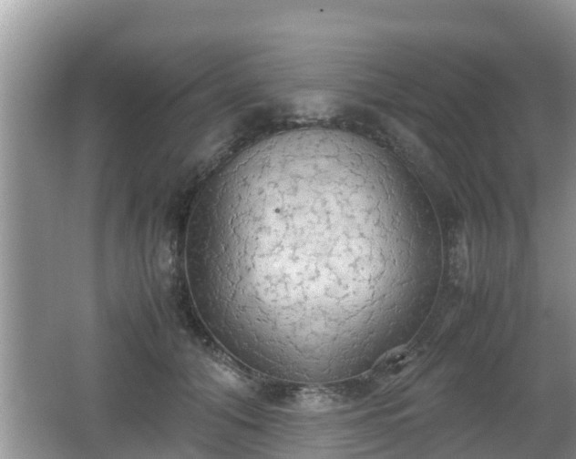 X0000062150608200512161236