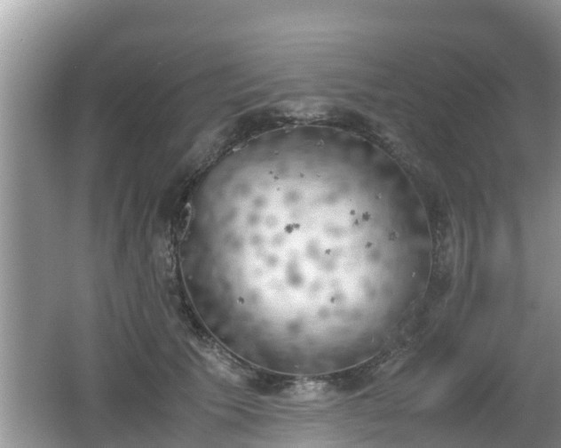 X0000062150609200512161236