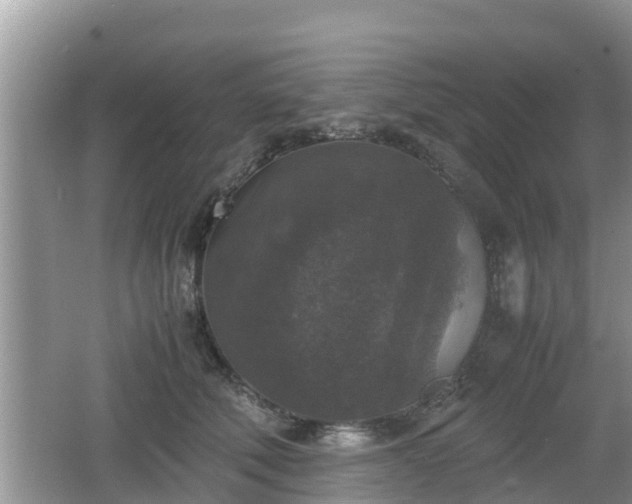 X0000062150610200512161236