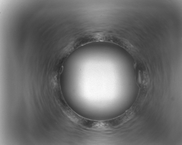 X0000062150611200512161236