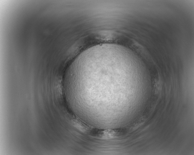 X0000062150612200512161236