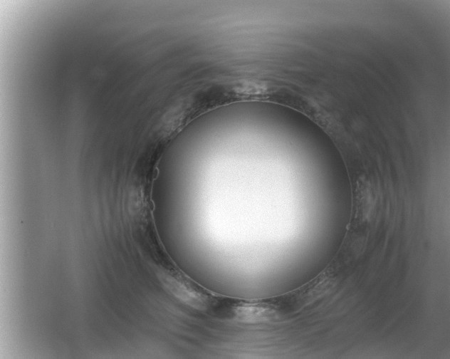 X0000062150614200512161236