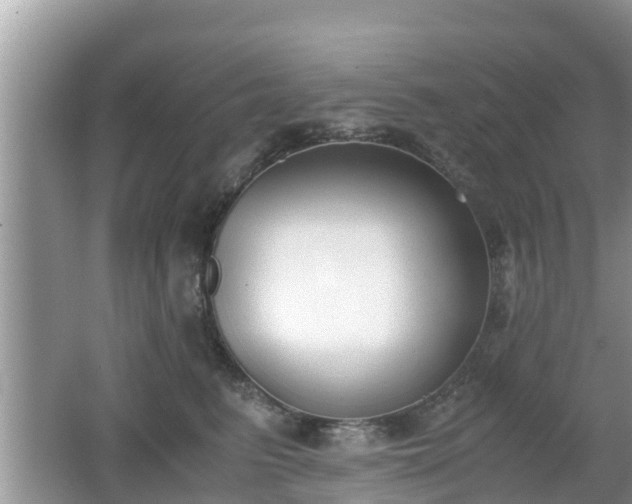 X0000062150615200512161236