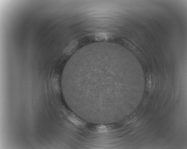 X0000062150616200512161236