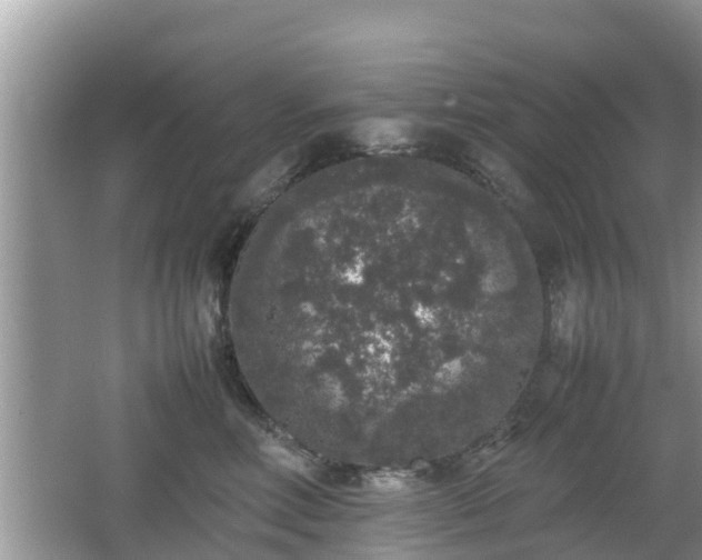 X0000062150618200512161236