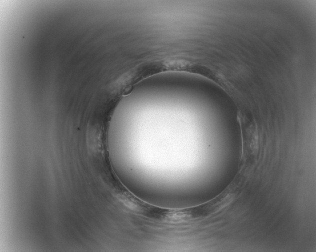 X0000062150619200512161236