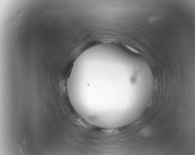 X0000062150621200512161236