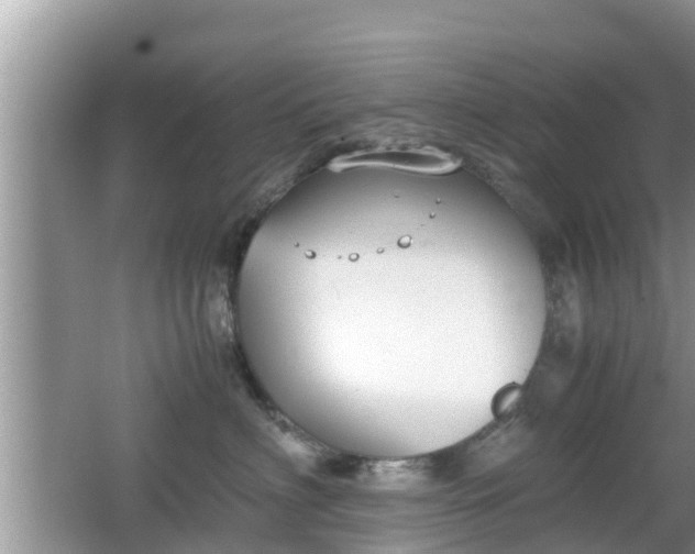 X0000062150622200512161236