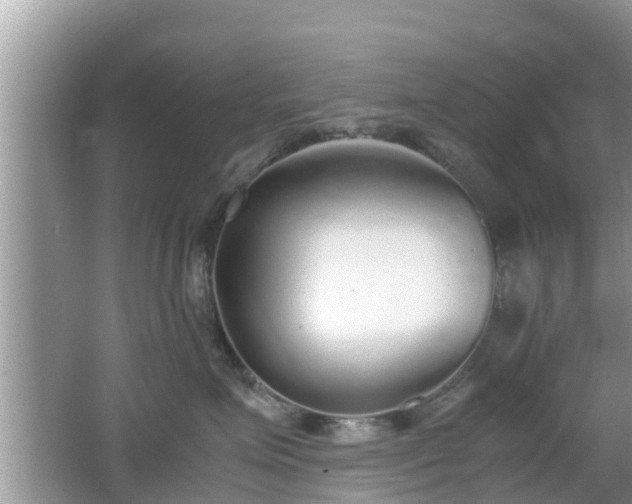 X0000062150623200512161236