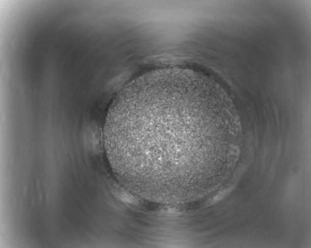 X0000062150624200512161236