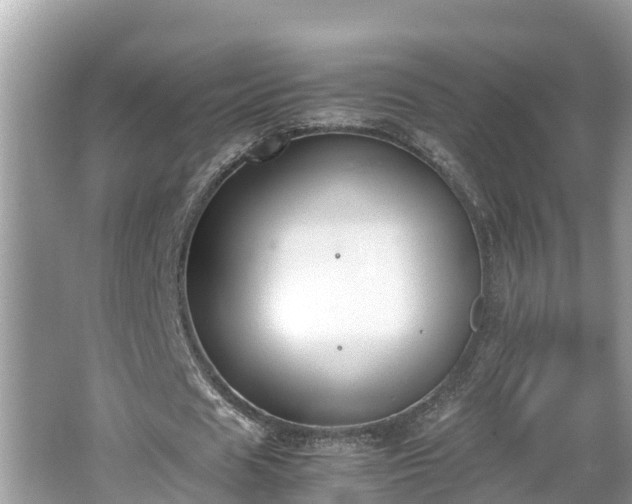 X0000062150625200512161235